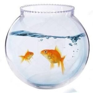 Glass fish bowl