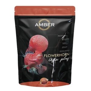 Amber flowerhorn asta plus 100g