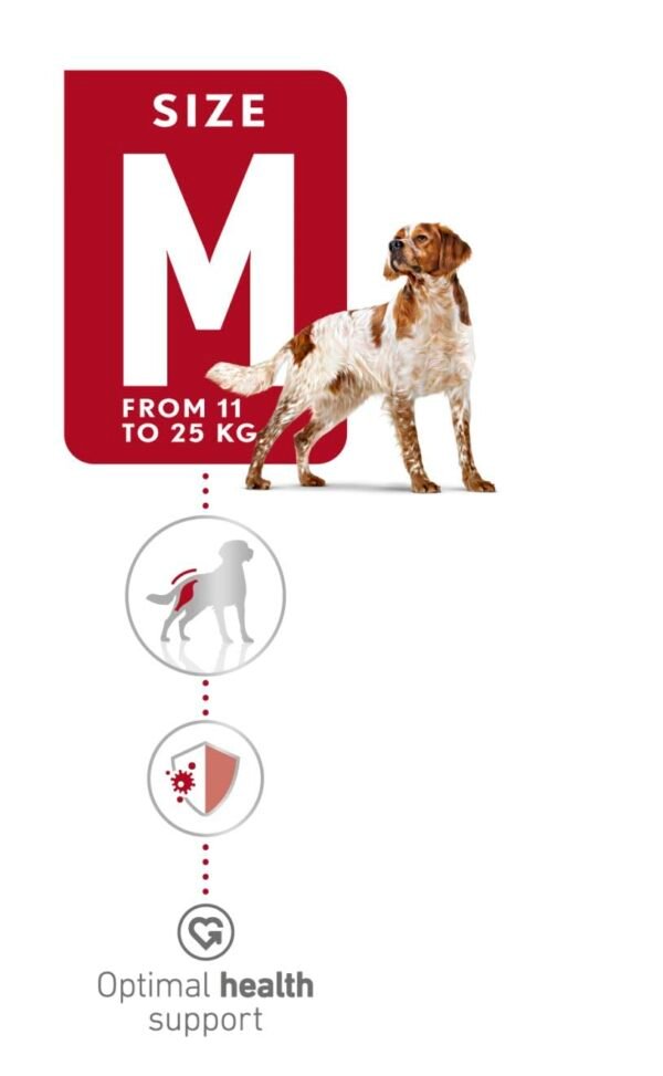 Royal Canin Medium Adult - Image 4