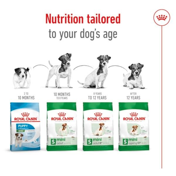 Royal Canin Mini Adult - Image 7