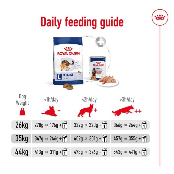 Royal Canin Maxi Adult - Image 4