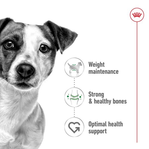 Royal Canin Mini Adult - Image 2