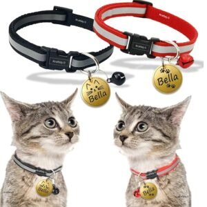 Rk pet shop