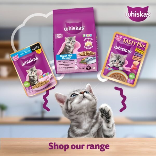 Whiskas Junior Tuna in Jelly - Image 13