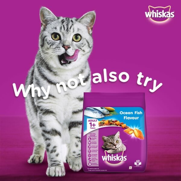 Whiskas Adult Ocean Fish Jelly - Image 12