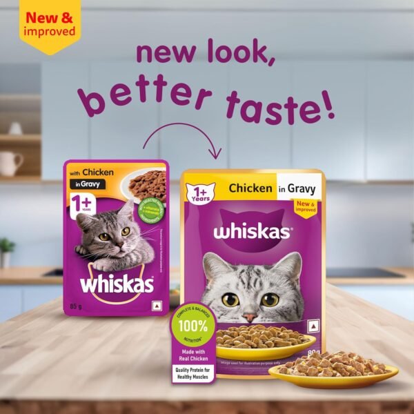 Whiskas Junior Chicken in Gravy - Image 11