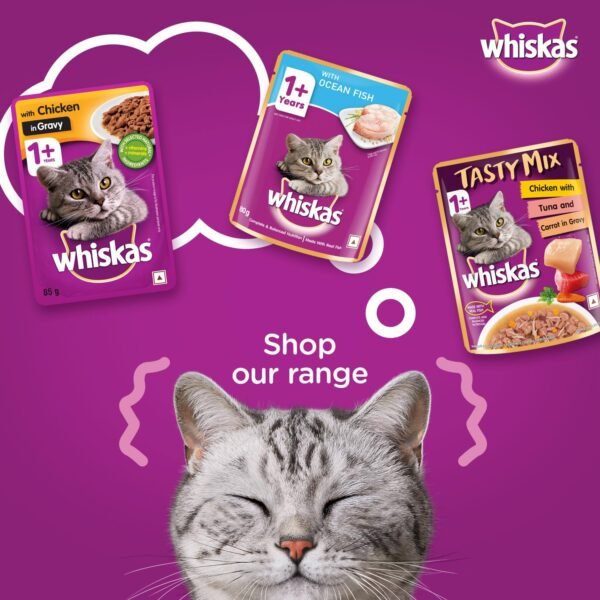 Whiskas Adult Ocean Fish Jelly - Image 11