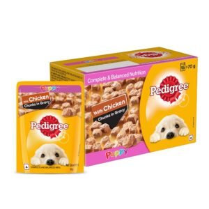 Rk pet shop