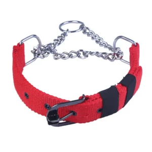 Dog choke collar